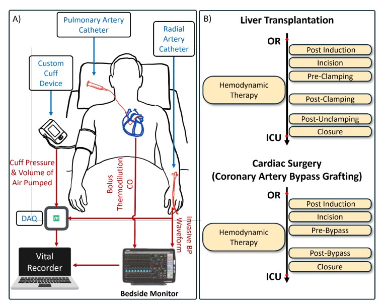 Clinical validation workflow and perioperative stages