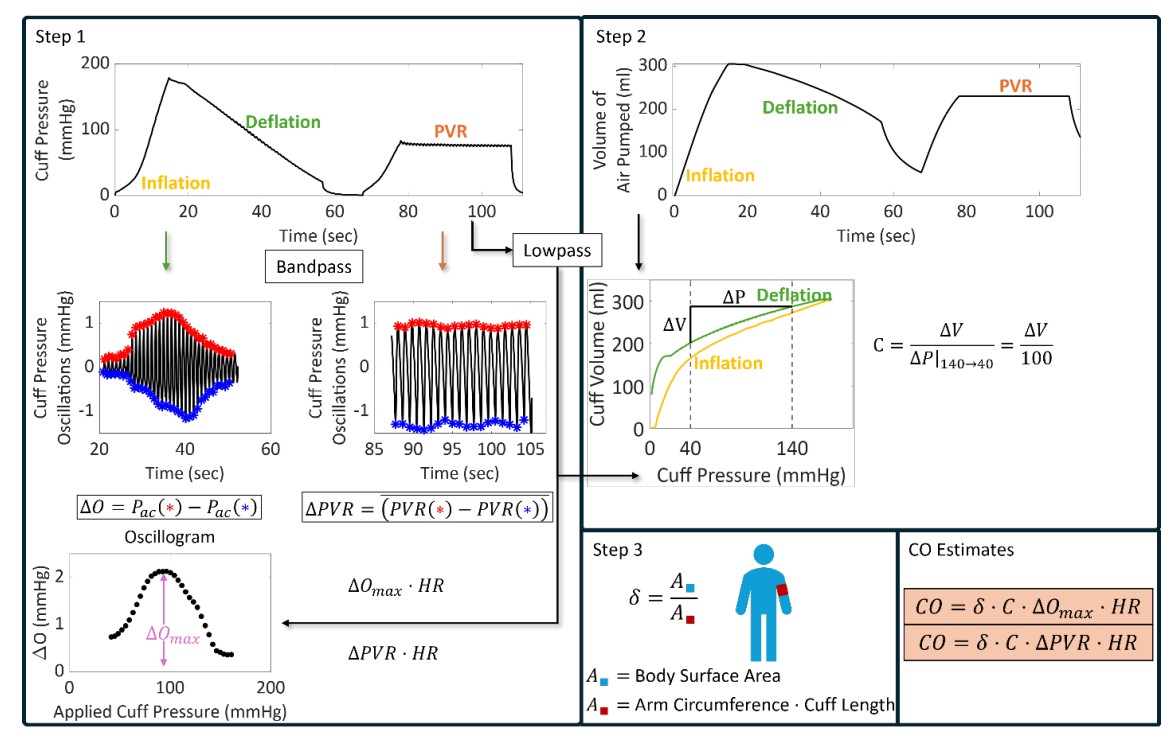 Stepwise cuff-based cardiac output estimation framework