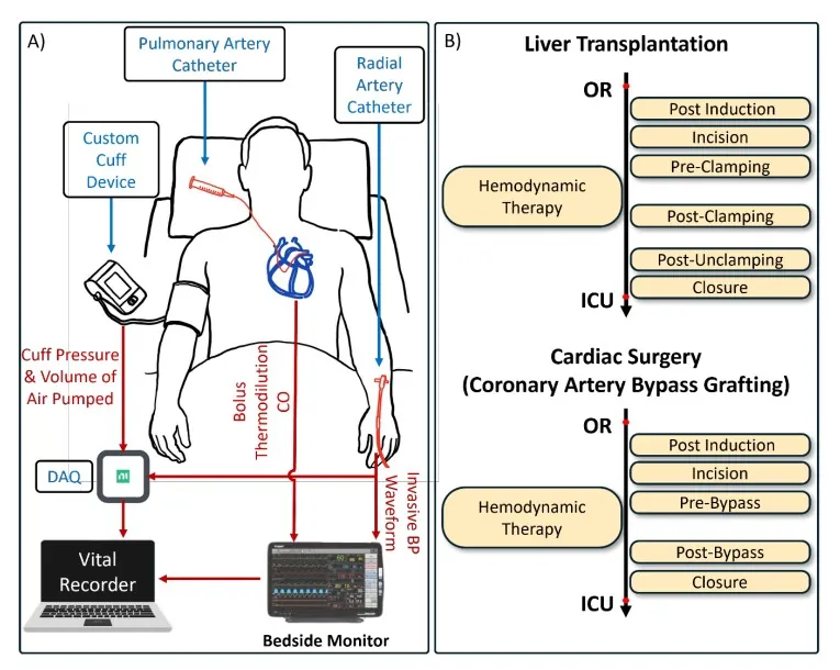 Clinical validation workflow with custom cuff and perioperative timeline