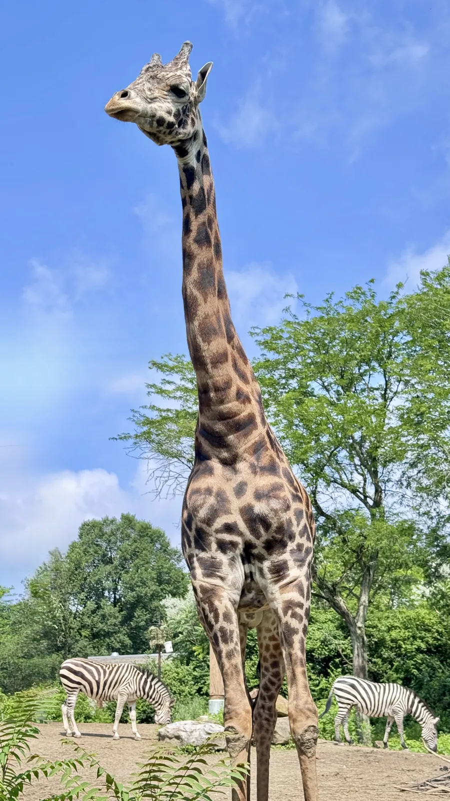 Pittsburgh Zoo · Pittsburgh, PA