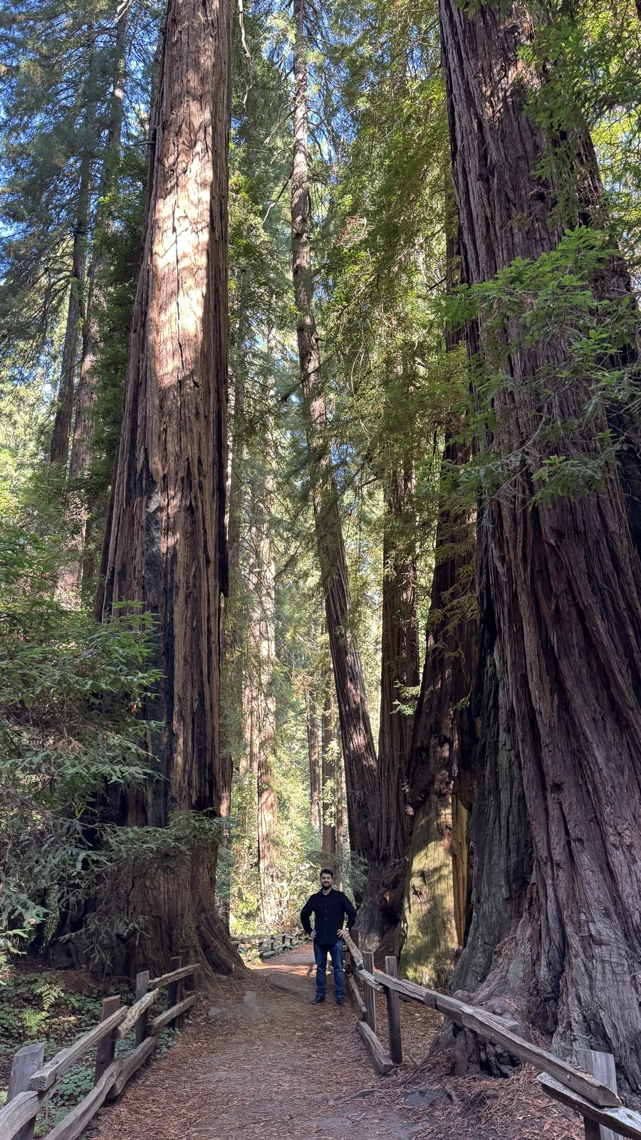 Muir Woods · Marin County, CA