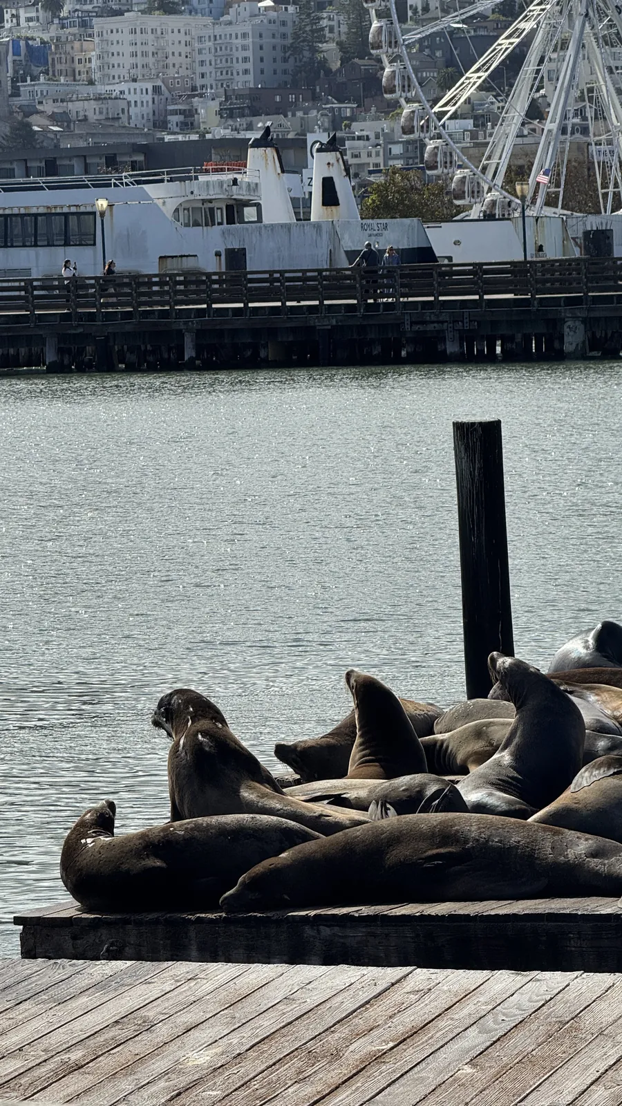 Pier 39 · San Francisco